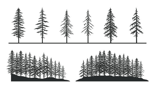 vintage pine trees set for forest landscape silhouette