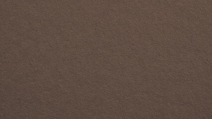 The surface of dark brown cardboard. Paper texture with cellulose fibers. Paperboard wallpaper or background. Textured graceful and classic backdrop. Top-down. Macro
