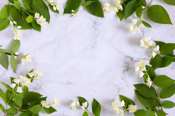 jasmine, branches flowers on white marble background. frame design spring floral greeting card,...