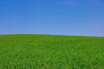 a green hill and blue sky