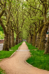 sidewalk and bicycle path