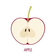 Half red apple. Flat icon Apple fruit with with twig and seeds isolated on white background. Farmer Market Logo. Organic food eco template for menu, apple jam and juice label, tea banner