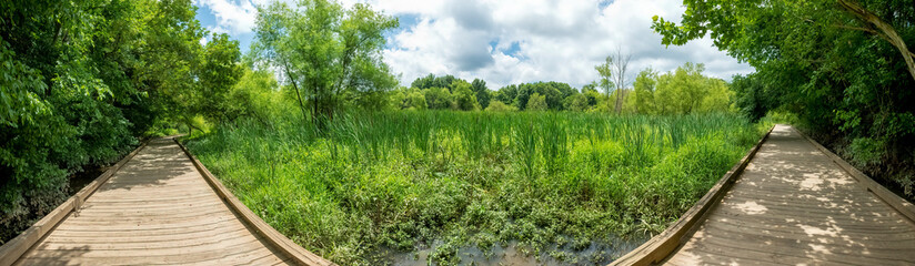 Panorama of the Boardwalk through the Wetlands of Four Mile Creek Greenway Trail, Charlotte, North Carolina