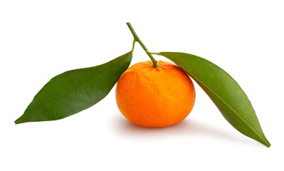 tangerine path isolated on white