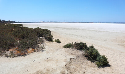 Huge dried up salt lake view from the sandy shore with some green bushes and white salt crystals shining back on a sunny day from the far distance in Cyprus