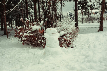 Funny snowman with a twig