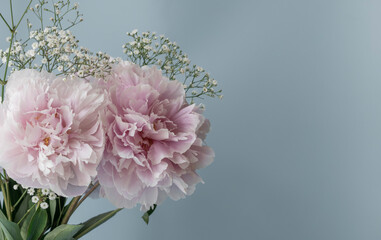 Pfingstrosen mit Platz für Text pastel