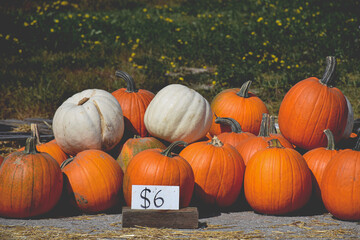 A pile of orange pumpkins background