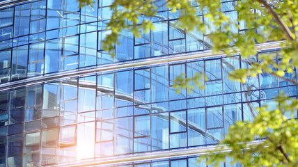 Plakat Eco architecture. Green tree and glass office building. The harmony of nature and modernity. Reflection of modern commercial building on glass with sunlight. 