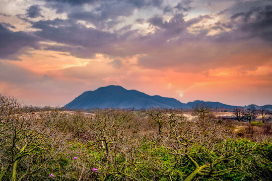 Cerro Montecristi