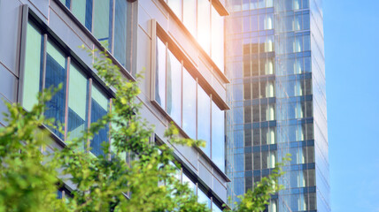 Eco architecture. Green tree and glass office building. The harmony of nature and modernity. Reflection of modern commercial building on glass with sunlight. 