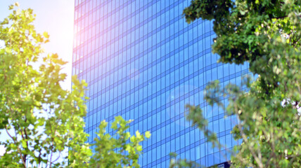 Fototapeta na wymiar Eco architecture. Green tree and glass office building. The harmony of nature and modernity. Reflection of modern commercial building on glass with sunlight. 