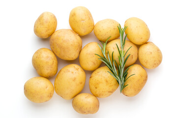 New potato and rosemarin isolated on white background close up.