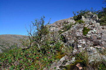 Quebrada del Condorito  National Park landscape,Cordoba province, Argentina