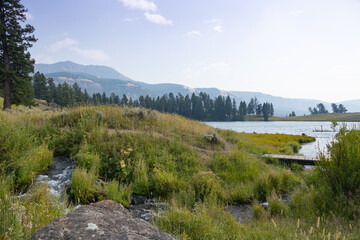Fototapeta na wymiar Trout Lake at Yellowstone National Park 