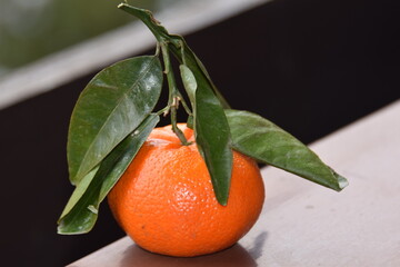 Mandarine mit Blättern
