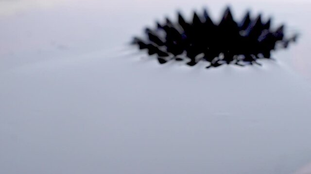 Pulsating ferrofluid moving as magnetic forces change its shape. Dark and arty. 180 fps extreme slow-motion. High quality Full HD footage