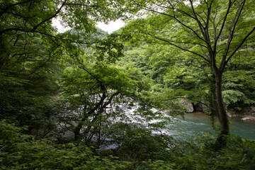 ［宮城県］小原温泉　かつらの湯
