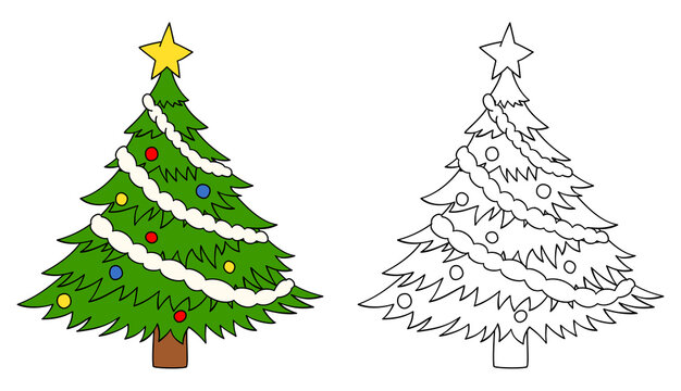 Christmas tree colorful and black and white. Christmas tree vector illustration isolated on white background. Coloring book page for children.