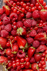 Fresh summer red fruit background composition. Strawberries, red currants, raspberries.