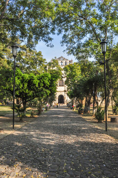 Pasillo de &aacute;rboles con templo