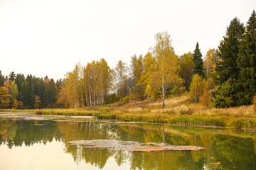 Fototapeta na wymiar beautiful big lake in the forest in autumn 
