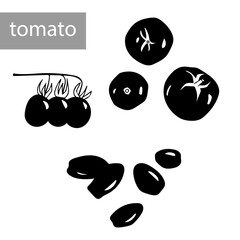 A set of vector images of tomatoes on a white background in black and white colors. Summer vegetables