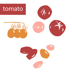 A set of vector images of tomatoes on a white background in red-orange colors. Summer vegetables