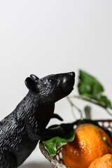 black rubber rat with orange fruit on white background