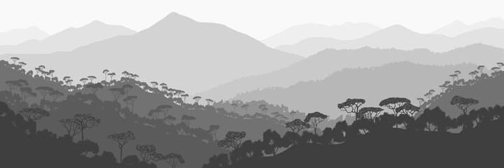 Fototapeta na wymiar Mountains covered with tropical forest, black and white landscape, panoramic view