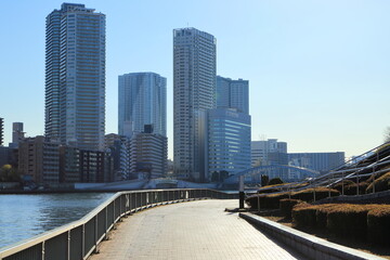 隅田川沿いに続く隅田川テラスと勝どきの高層ビル群