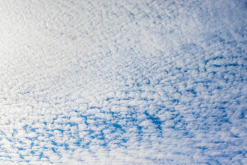 空を覆う白いうろこ雲