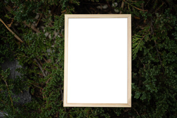 A white picture frame on a tree