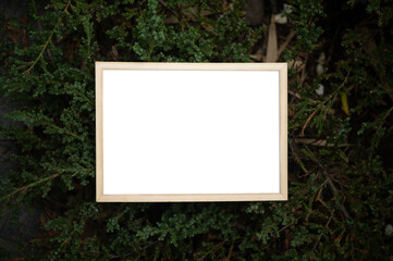 A white picture frame on a tree