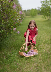 little girl collect the flower