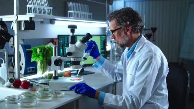 Mature man running tests with vegetables in lab