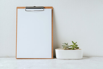 Picture frames and plant pots on a white background