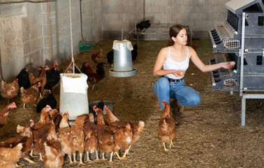 Hardworking young girl working on a farm collects eggs in a chicken coop