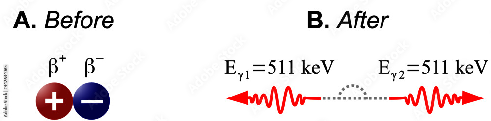 Poster electron-positron annihilation is the process in which a positron and an electron, due to they colli