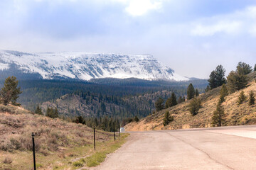 road in the mountains in Yellowstone national park 