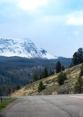 road in the mountains in Yellowstone national park 