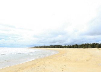 Fototapeta na wymiar sand beach and deciduous trees on a bright day with cloudy blue sky on an island
