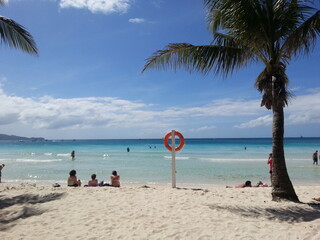 beach with palm trees and sky