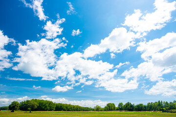 field and blue sky