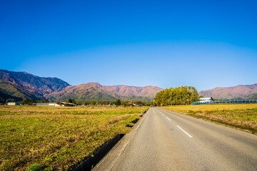 紅葉の時期の田舎の風景。田園や農道など。長野県伊那市