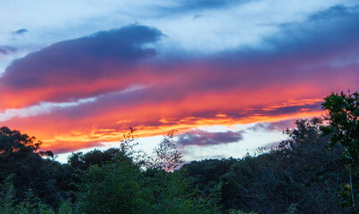 Fototapeta na wymiar Fire in the sky - sunset after a winter storm on the Garden Route in South Africa