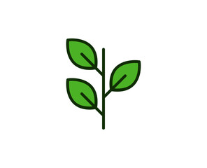 Fototapeta na wymiar Leaf premium line icon. Simple high quality pictogram. Modern outline style icons. Stroke vector illustration on a white background. 