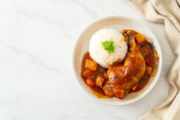 chicken stew with tomatoes, onions, carrot and potatoes on plate with rice