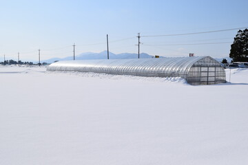 ビニールハウス 雪景色