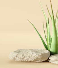 Stone product display podium stand with aloe vera on brown background. 3D rendering